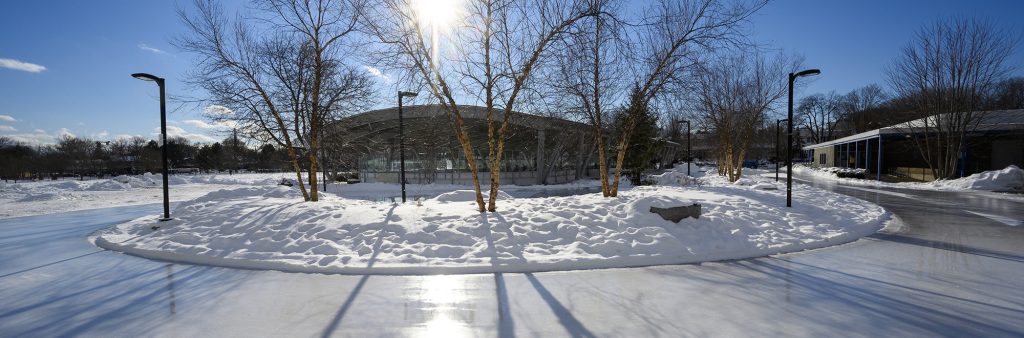 Outdoor ice rink with buildings in the background at Green Wood Park on a sunny winter day